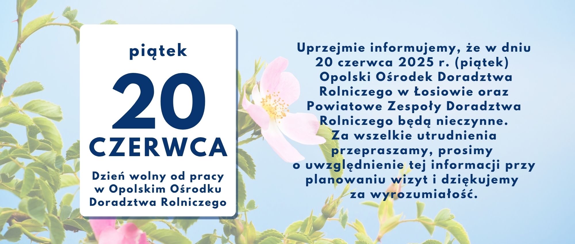 Dzień wolny – 20 czerwca 2025 r