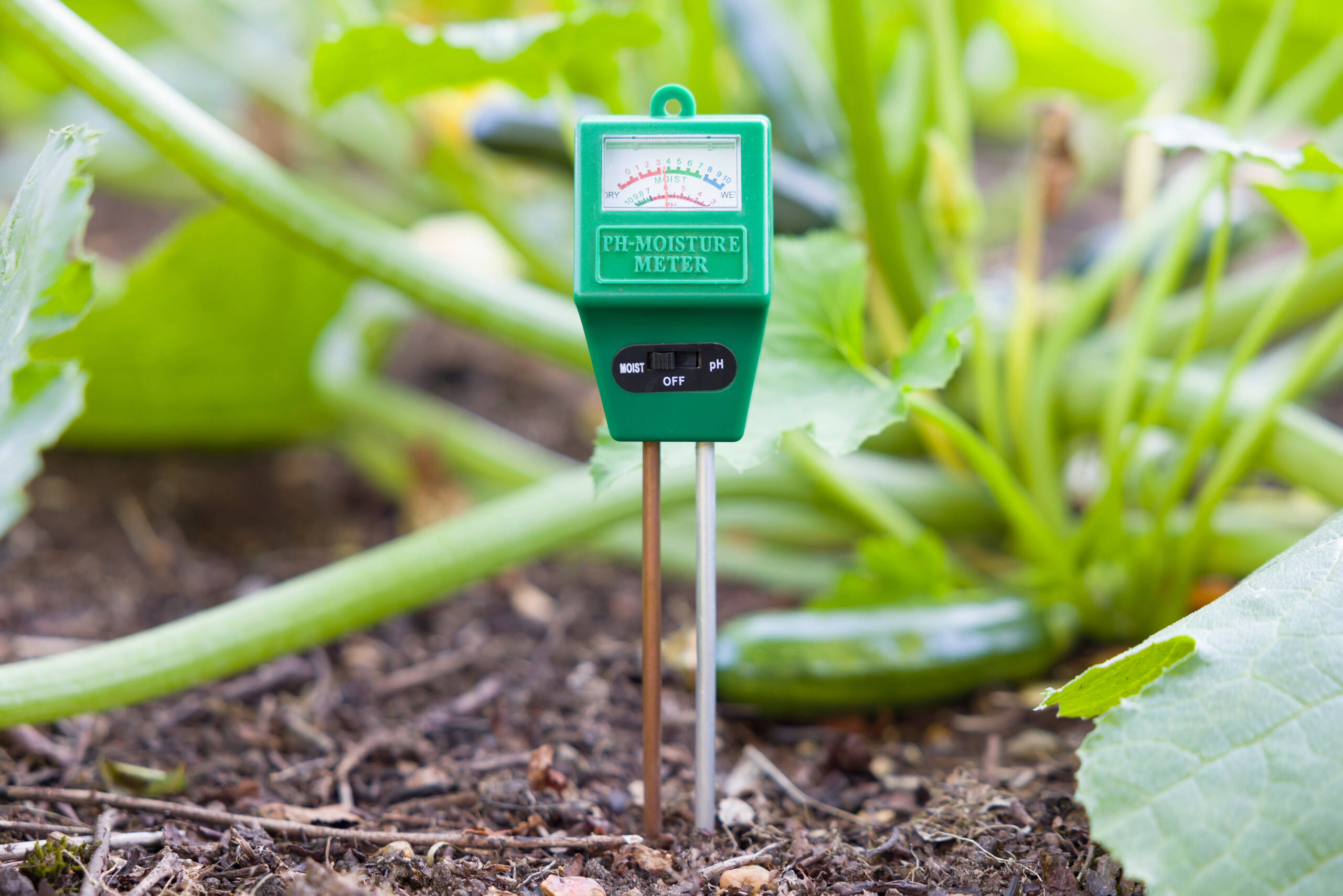 Regeneracja i odkwaszanie gleb, czyli fundament zdrowego plonu