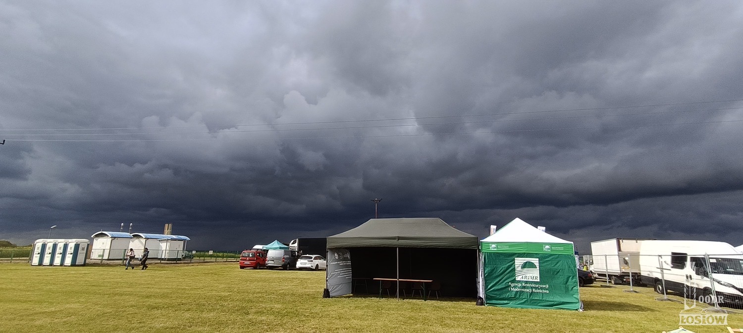 Strefa wiedzy, informacji i promocji PS WPR 2023-2027