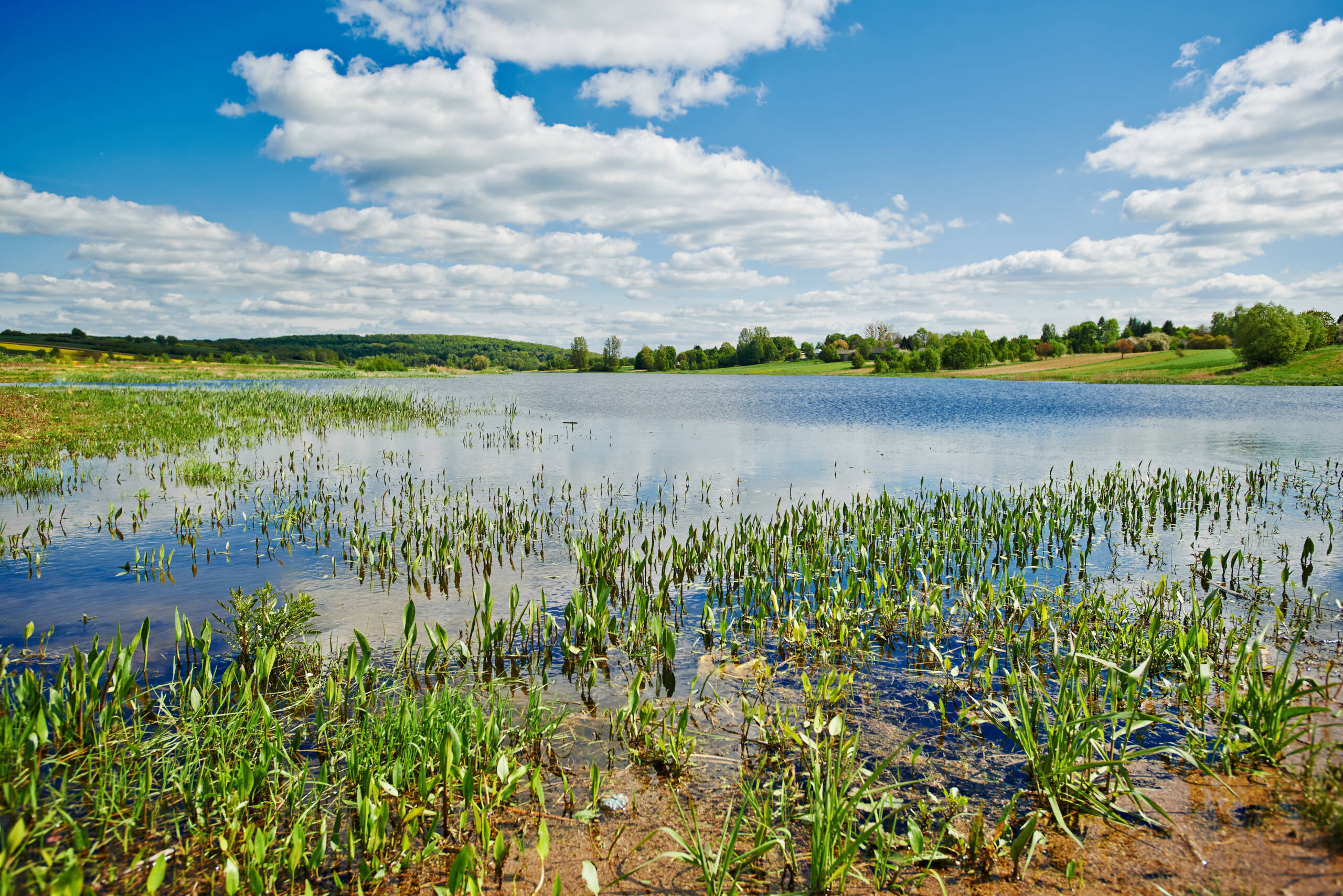 Retencjonowanie wody w gospodarstwie rolnym: klucz do zrównoważonego rolnictwa