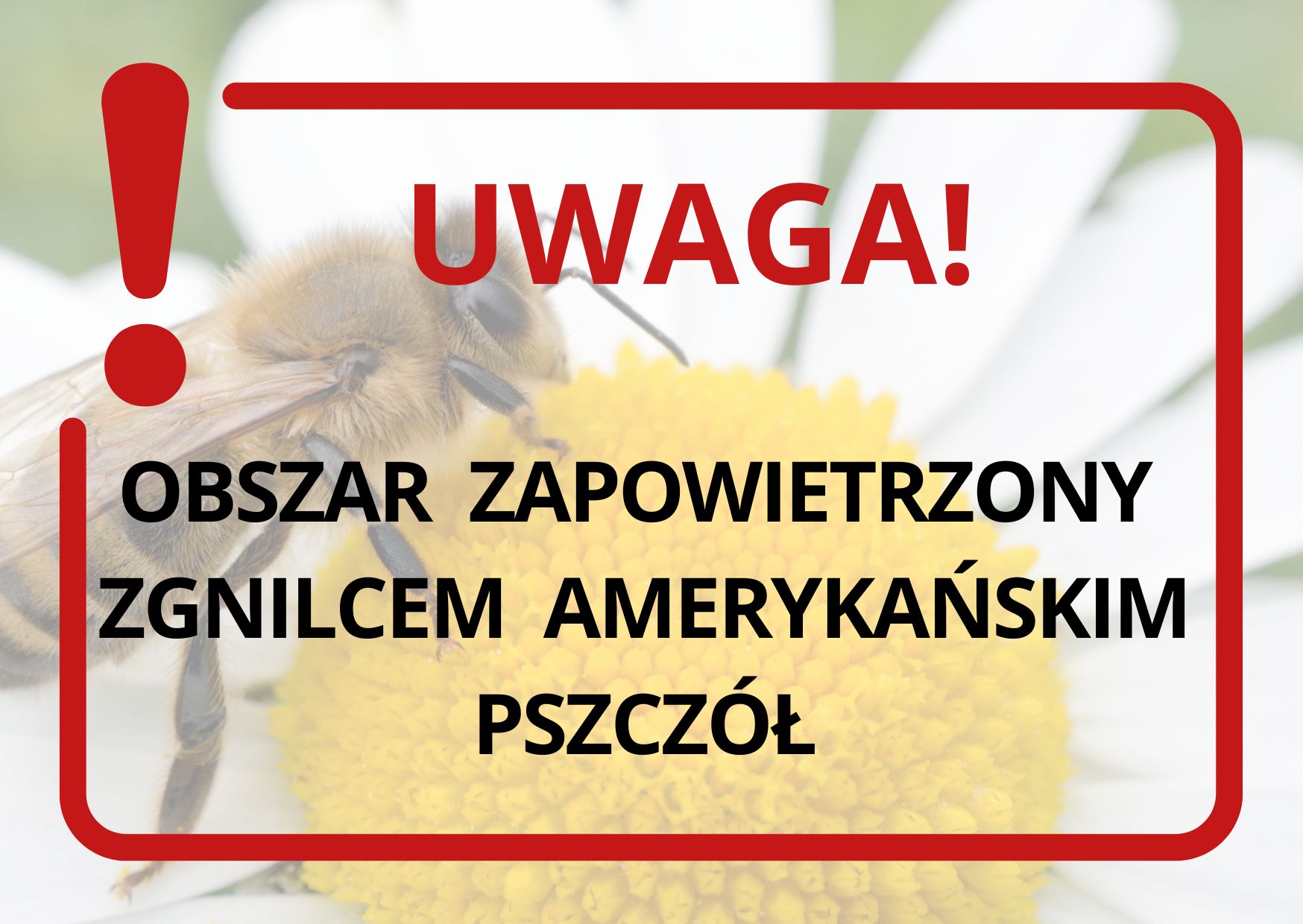 Rozporządzenie Nr 5/2025 Powiatowego Lekarza Weterynarii W Opolu