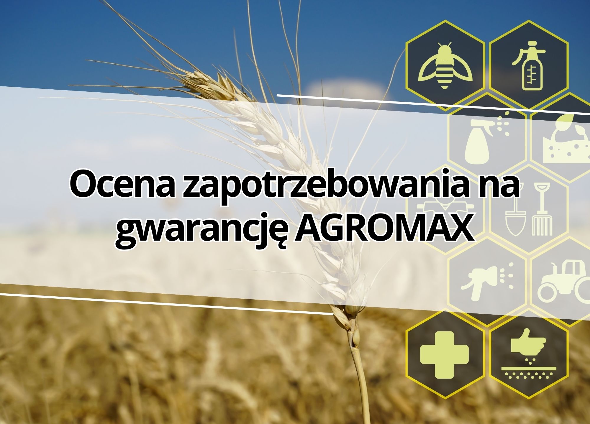 Ankieta oceny zapotrzebowania na gwarancję AGROMAX