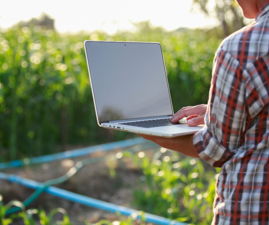 Jak ubezpieczyć się w KRUS